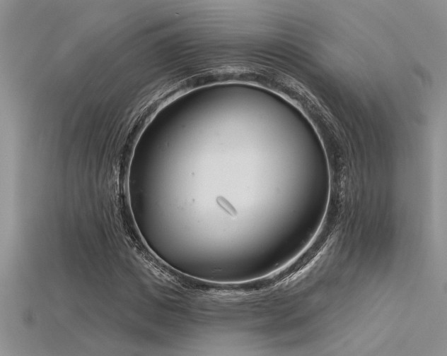 X0000115830825200911131504