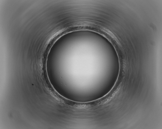 X0000115830826200911131504