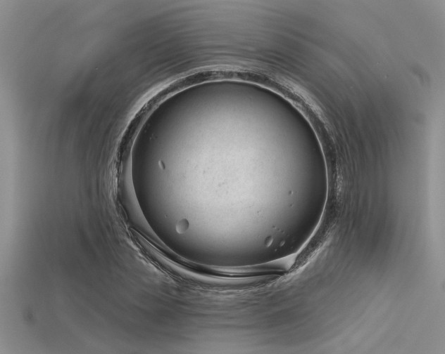 X0000115830829200911131504