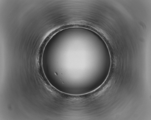 X0000115830830200911131504