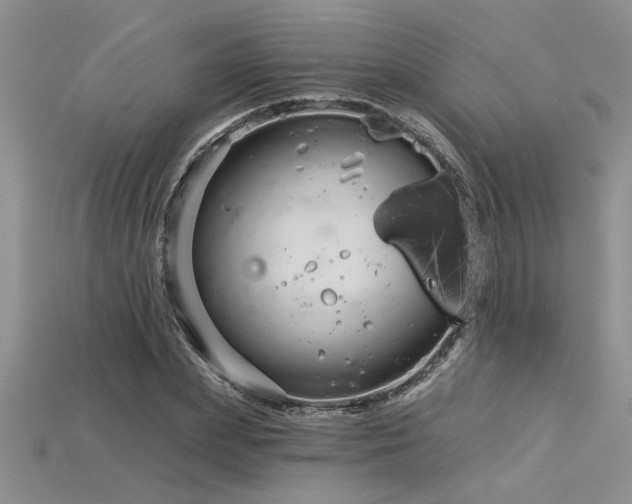 X0000115830831200911131504