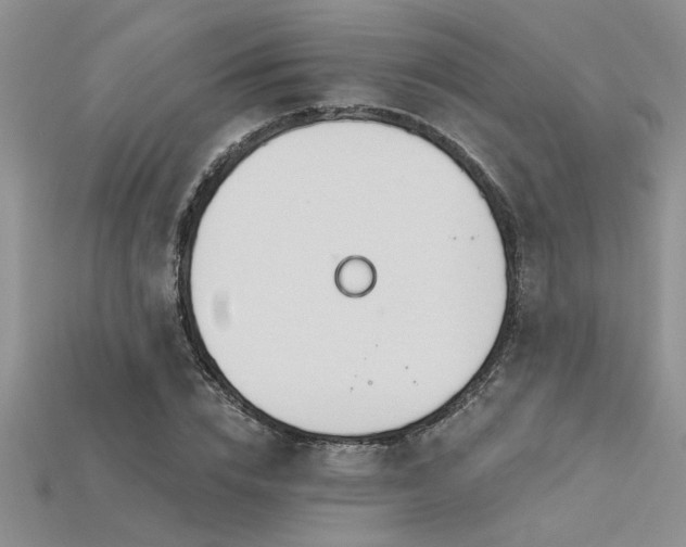 X0000115830832200911131504