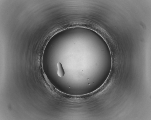 X0000115830833200911131504