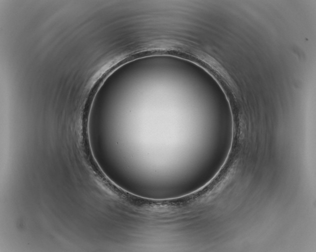 X0000115830834200911131504