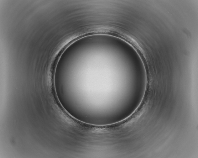 X0000115830835200911131504