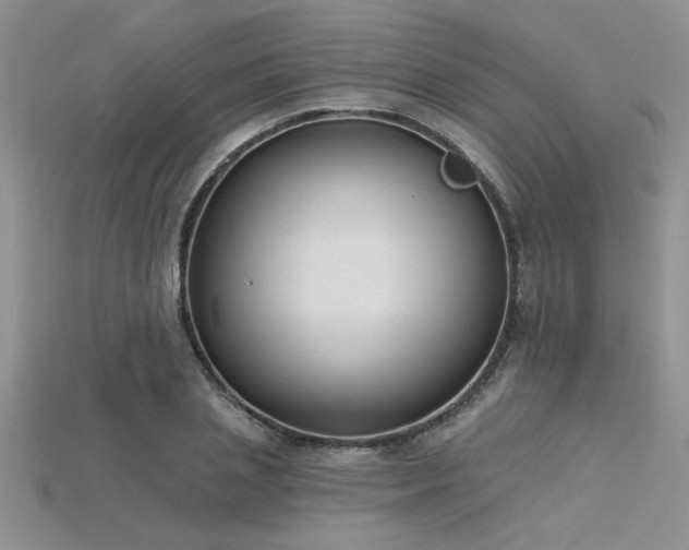 X0000115830837200911131504