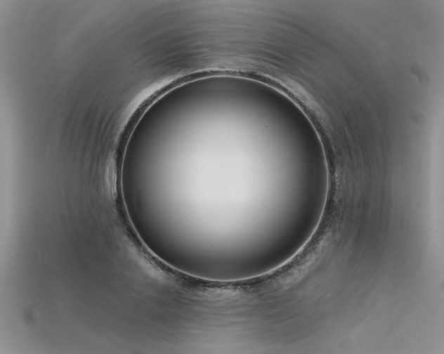 X0000115830838200911131504