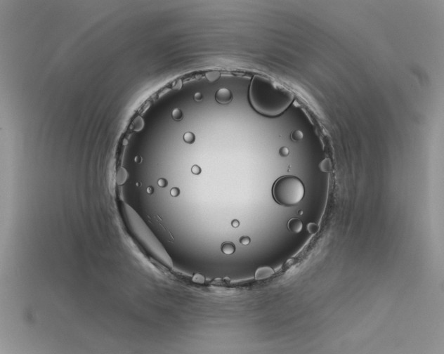 X0000115830839200911131504