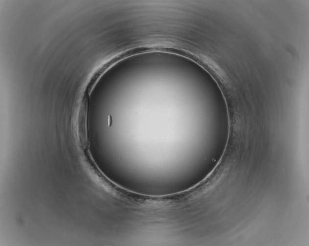 X0000115830840200911131504