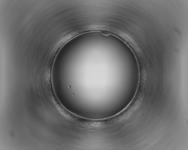 X0000115830841200911131504