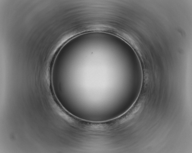 X0000115830843200911131504