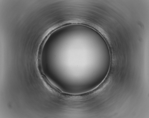 X0000115830845200911131504