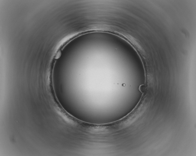 X0000115830846200911131504