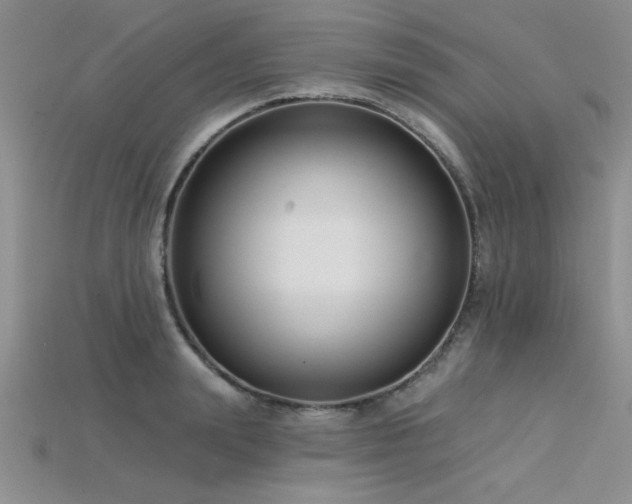 X0000115830847200911131504