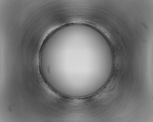 X0000115830848200911131504