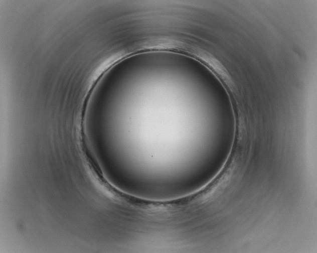 X0000115830850200911131504