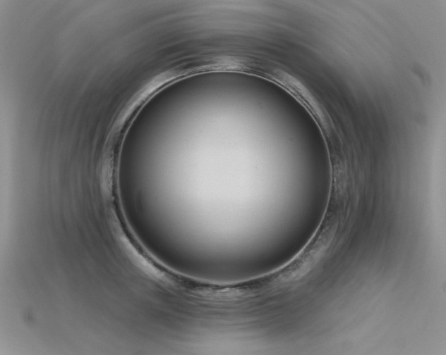 X0000115830851200911131504