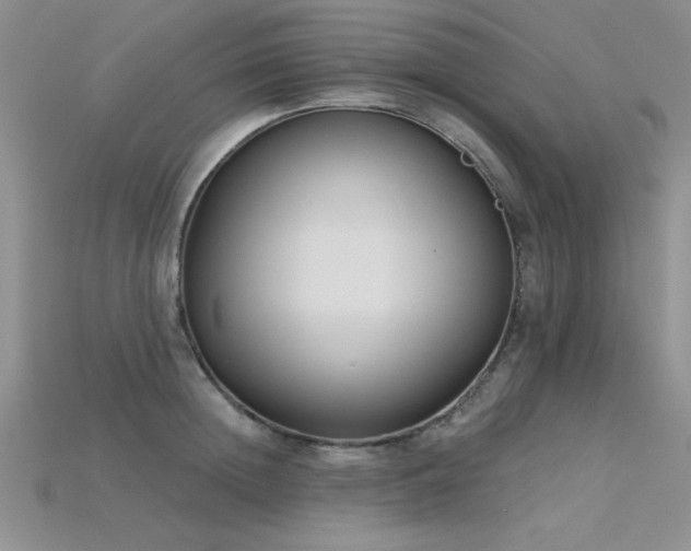 X0000115830852200911131504