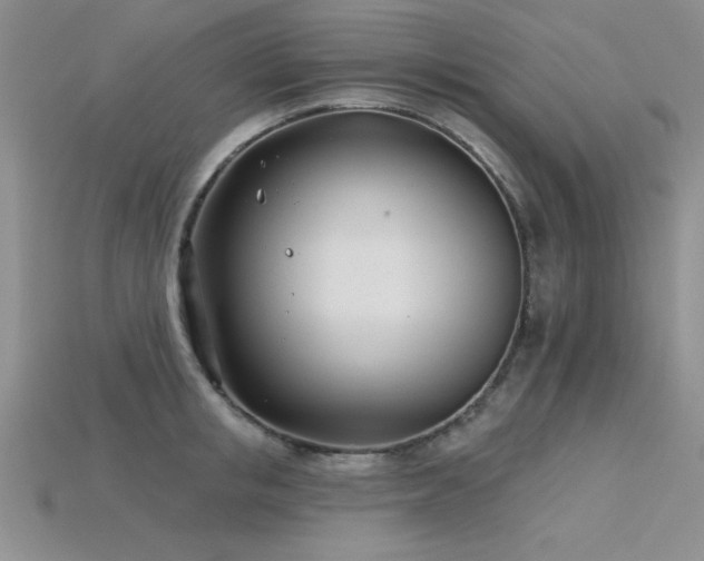 X0000115830853200911131504