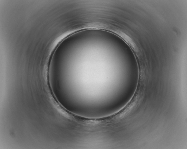 X0000115830854200911131504