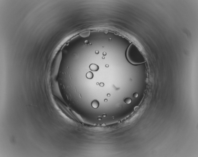 X0000115830855200911131504