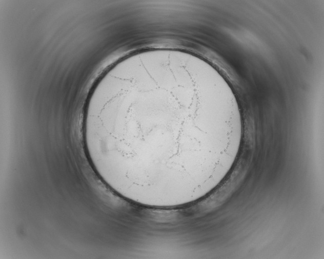 X0000115830856200911131504