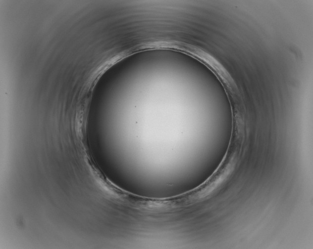 X0000115830857200911131504