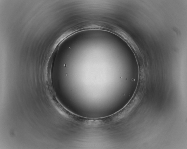 X0000115830858200911131504