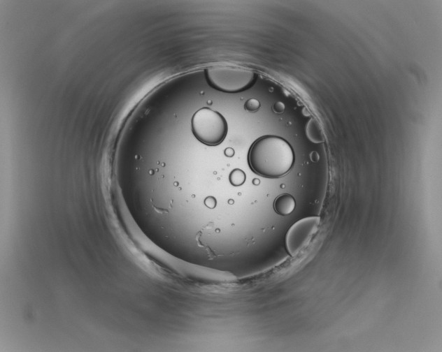 X0000115830859200911131504