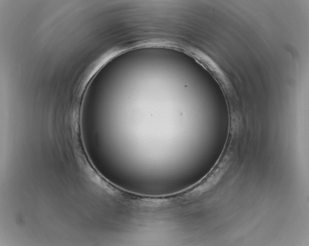 X0000115830860200911131504