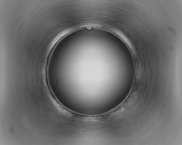 X0000115830861200911131504