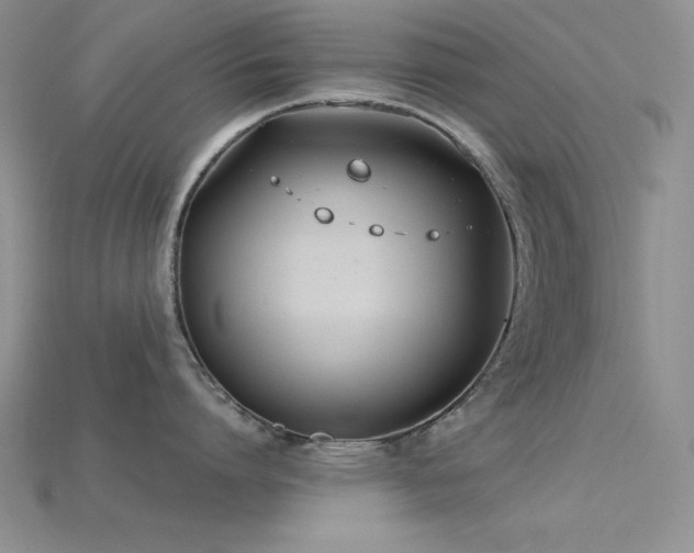 X0000115830864200911131504