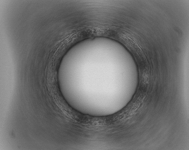 X0000115830865200911131503