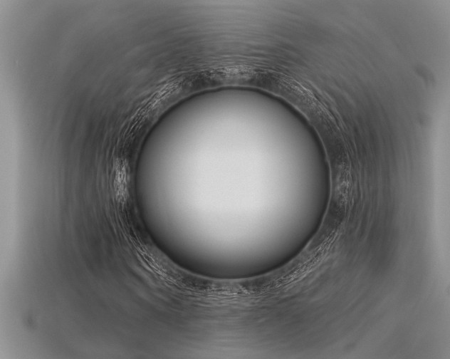 X0000115830866200911131503