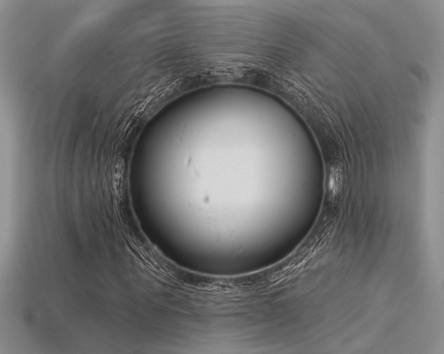 X0000115830867200911131503