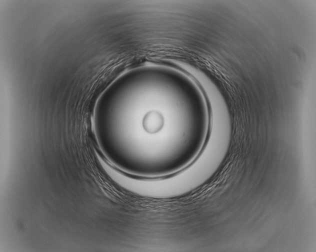 X0000115830868200911131503