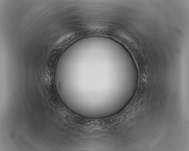 X0000115830869200911131503