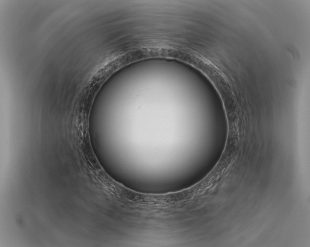 X0000115830870200911131503