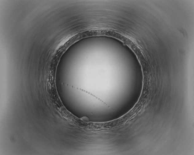 X0000115830871200911131503