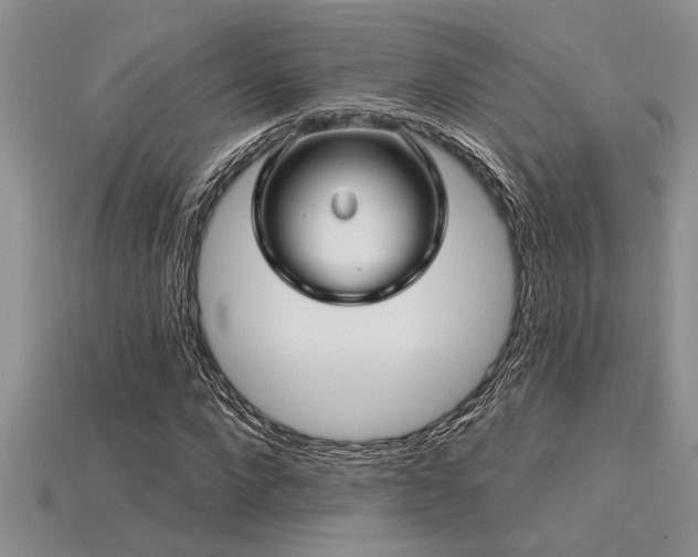 X0000115830872200911131503