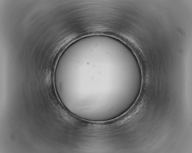 X0000115830873200911131503