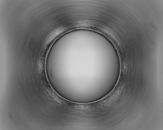 X0000115830874200911131503