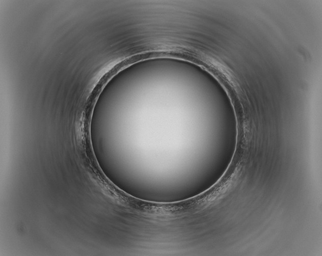 X0000115830875200911131503