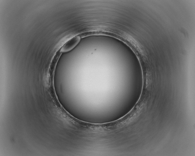 X0000115830876200911131503