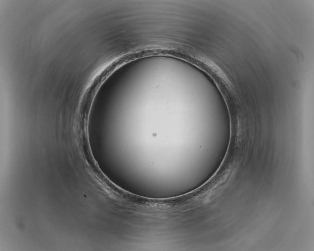 X0000115830878200911131503