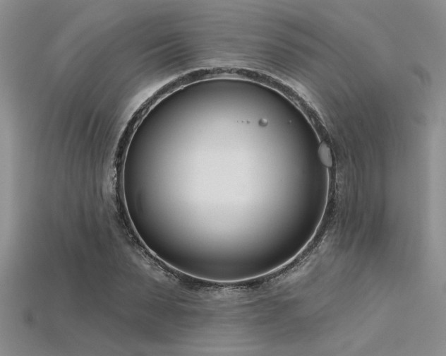 X0000115830879200911131503