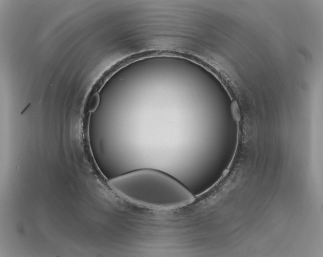 X0000115830880200911131503