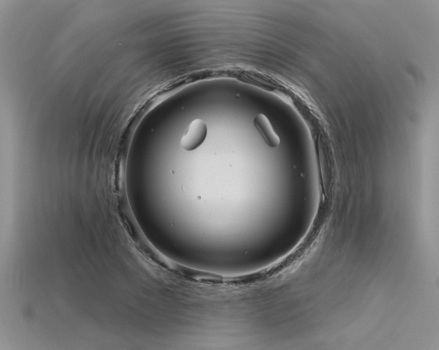 X0000115830881200911131503