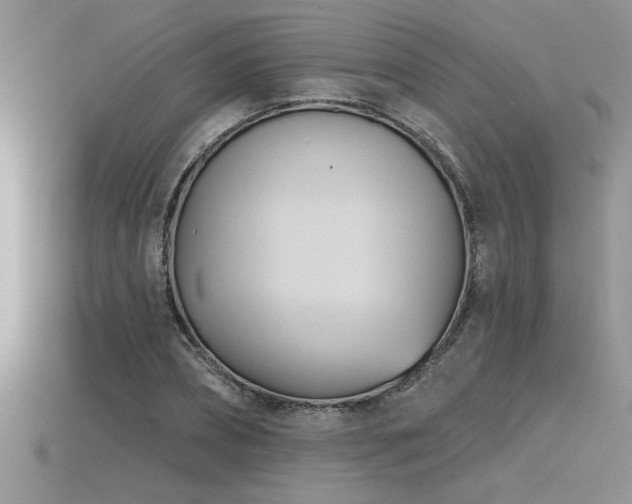 X0000115830882200911131503