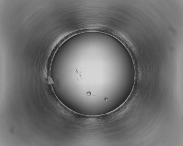 X0000115830883200911131503